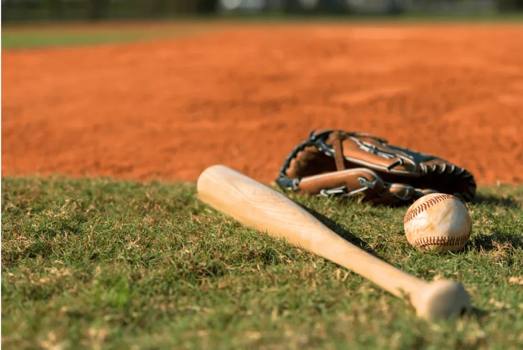 wood used in baseball bats