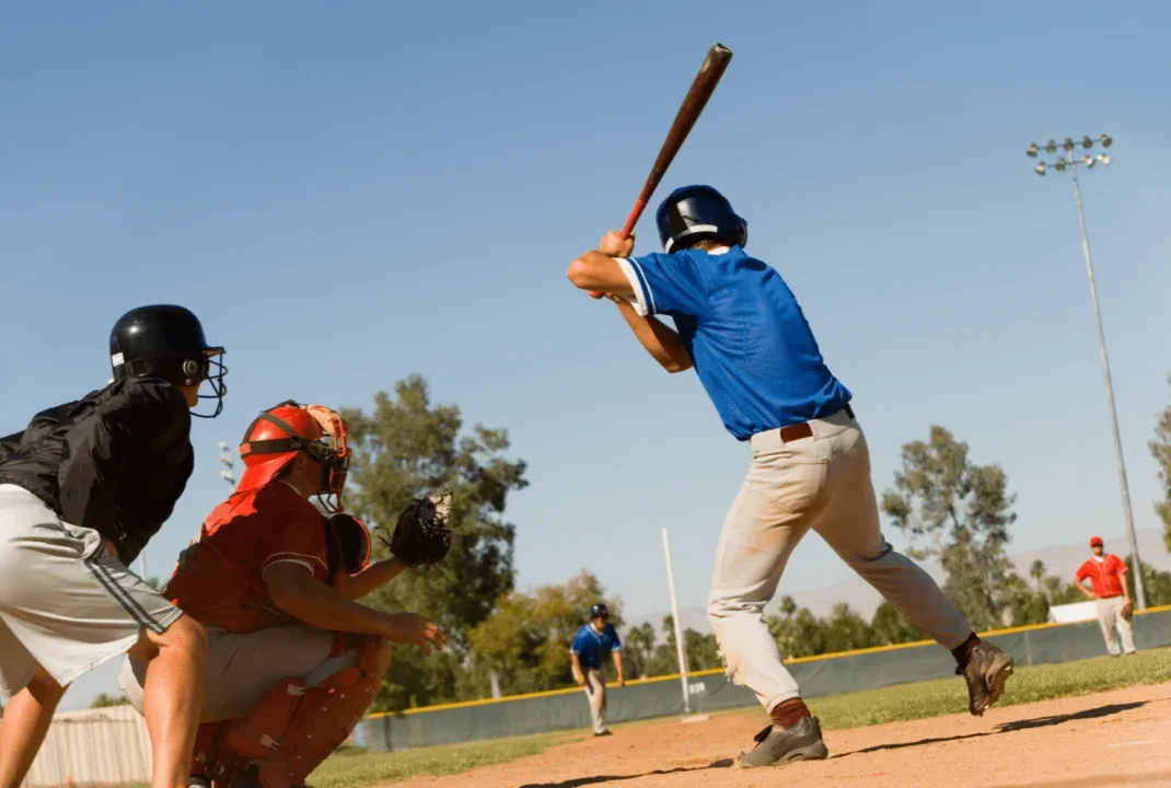 wood used in baseball bats