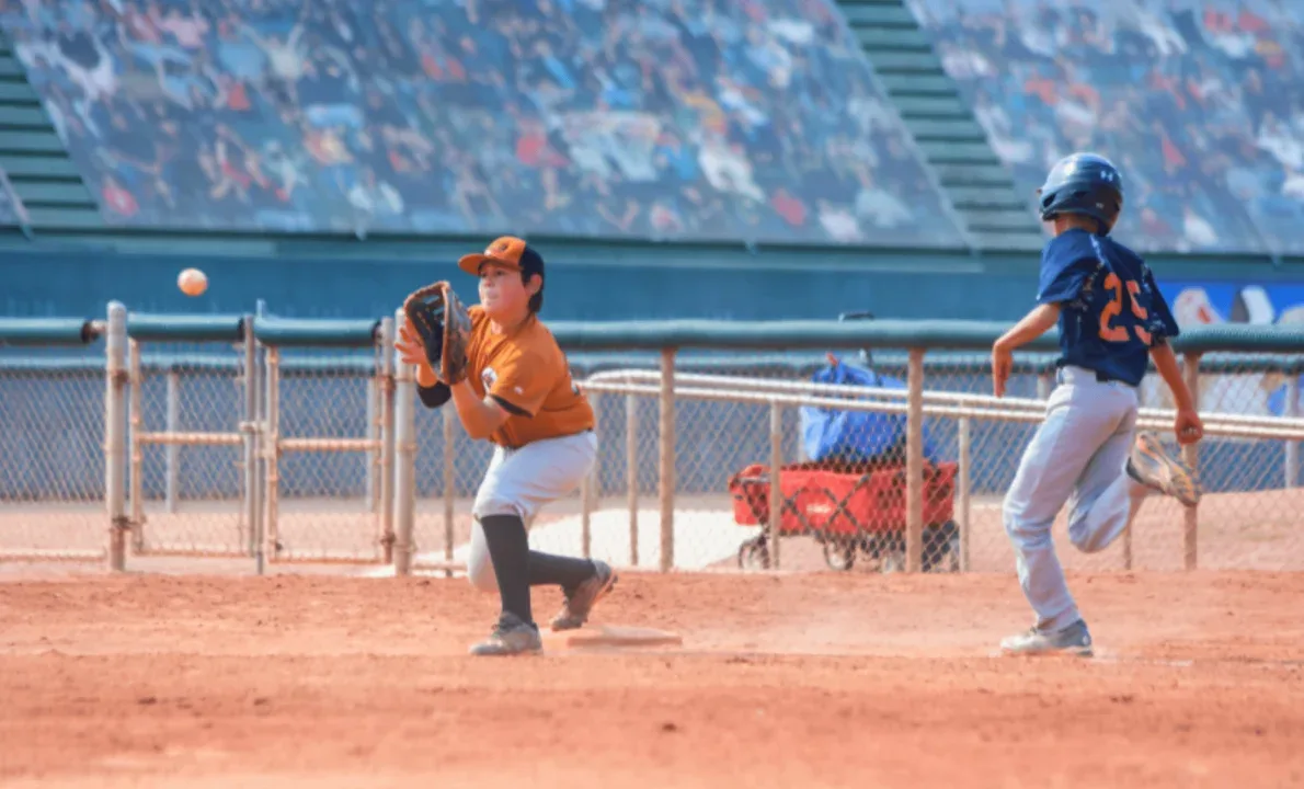 The Best Baseball Gloves for 10 Year Old Expert Guide